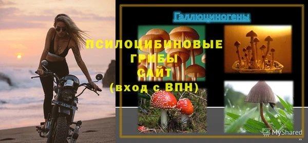 spice Кукмор